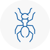 Ant Removals In Pembroke