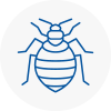 Bed Bug Extermination In Pembroke