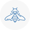 Bee Nest Removal Pembroke