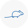Mice Exterminators In Pembroke