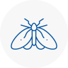 Moth Control Specialists In Pembroke