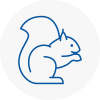 Pembroke Rodent Removals