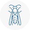 Pembroke Wasp Nest Removal